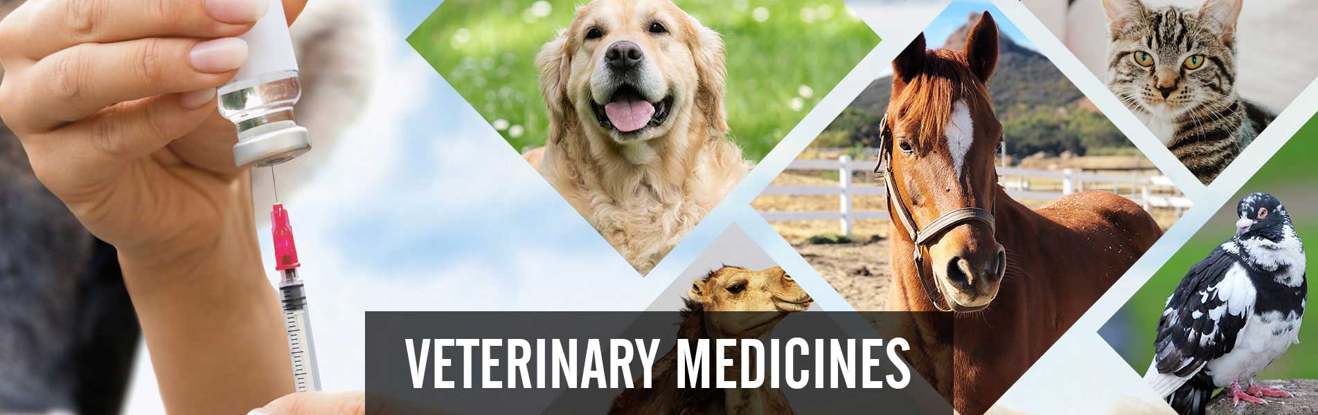 Veterinary-Medicines